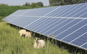 Solar Electricity Ireland